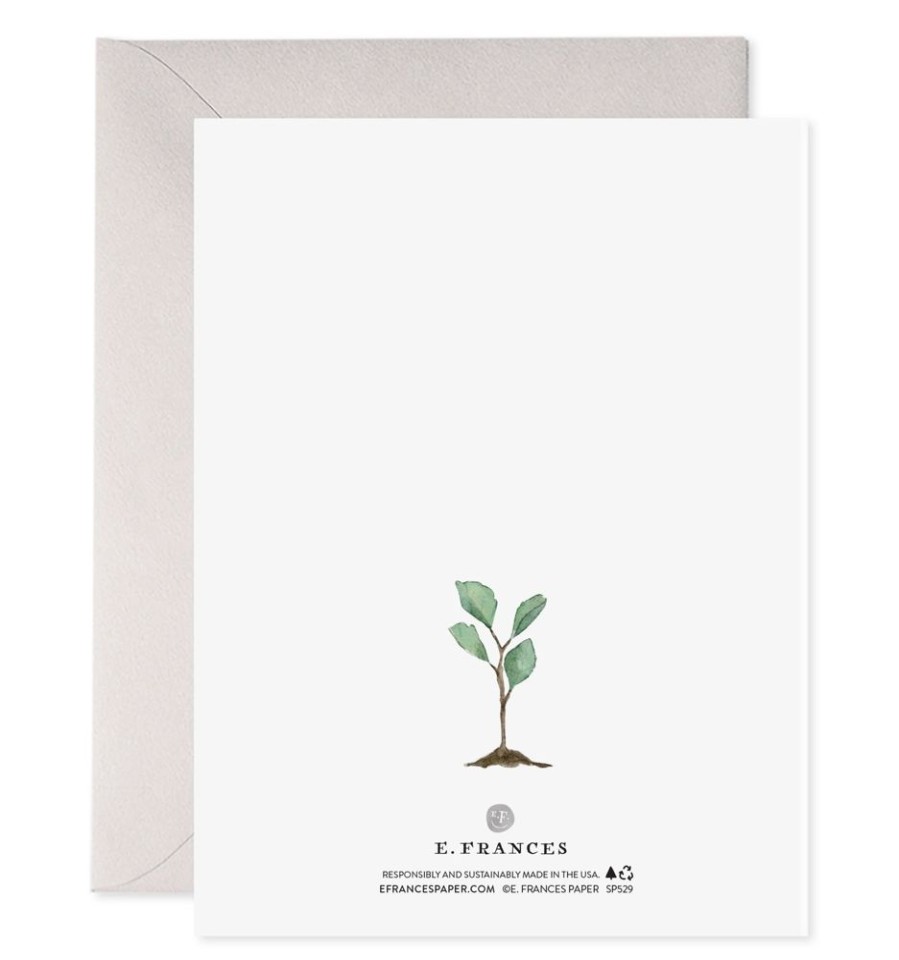 Greeting Cards E. Frances Paper Studio Mother'S Day | Helping Me Grow