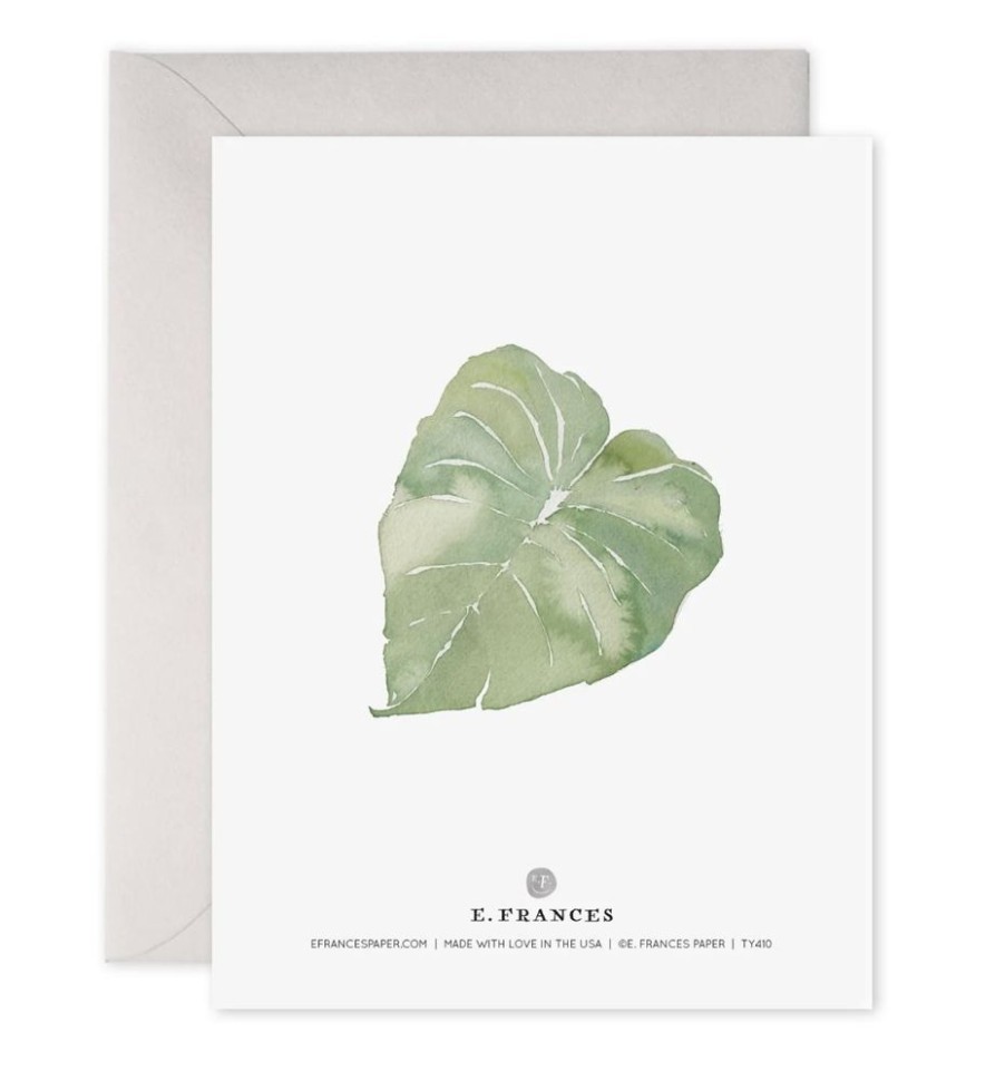 Greeting Cards E. Frances Paper Studio | Thank You Leaves