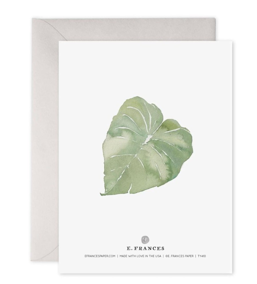 Paper & Office E. Frances Paper Studio Thank You Notes | Thank You Leaves Boxed Set