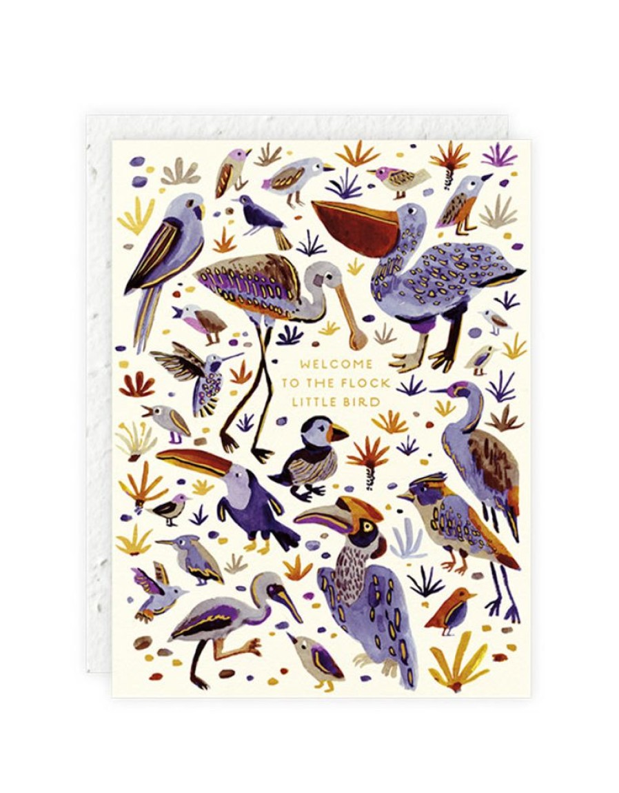 Greeting Cards Seedlings | Little Bird