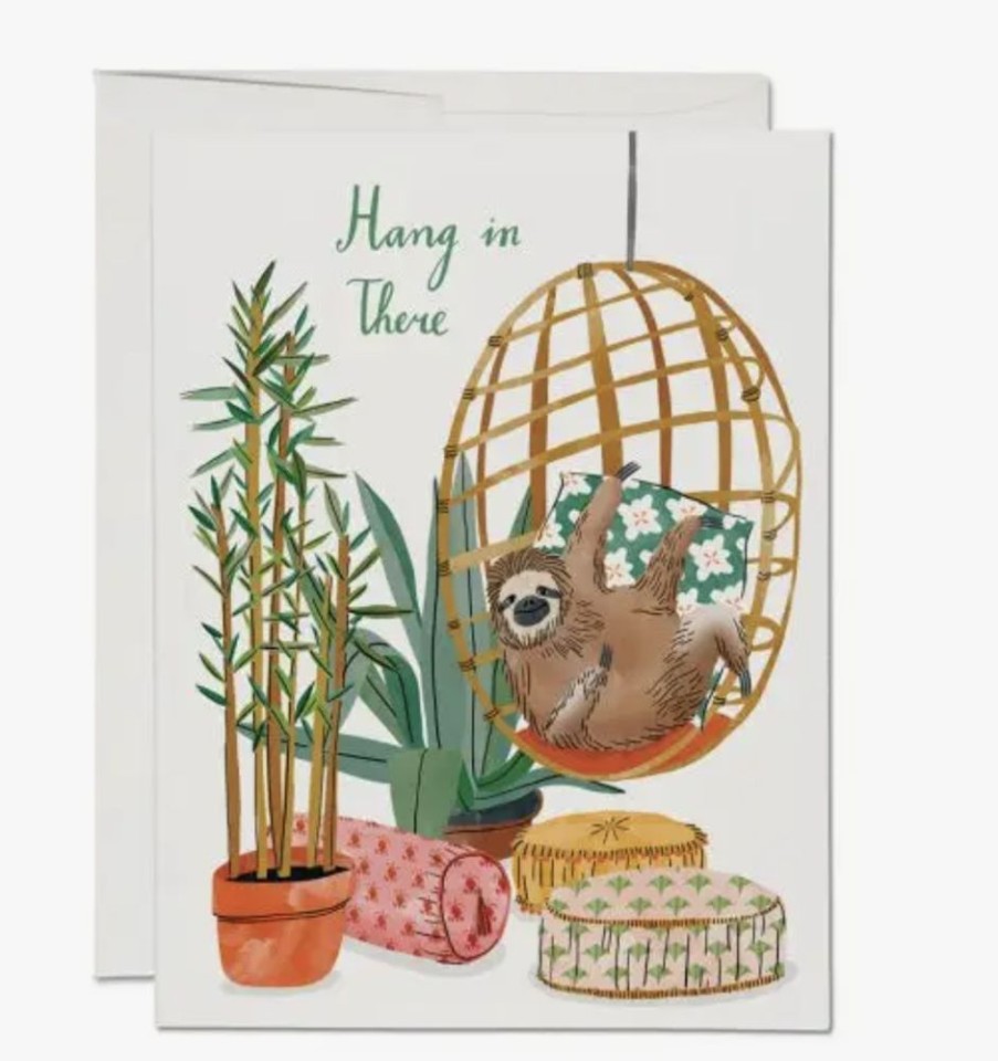 Greeting Cards Red Cap Cards | Chair Sloth