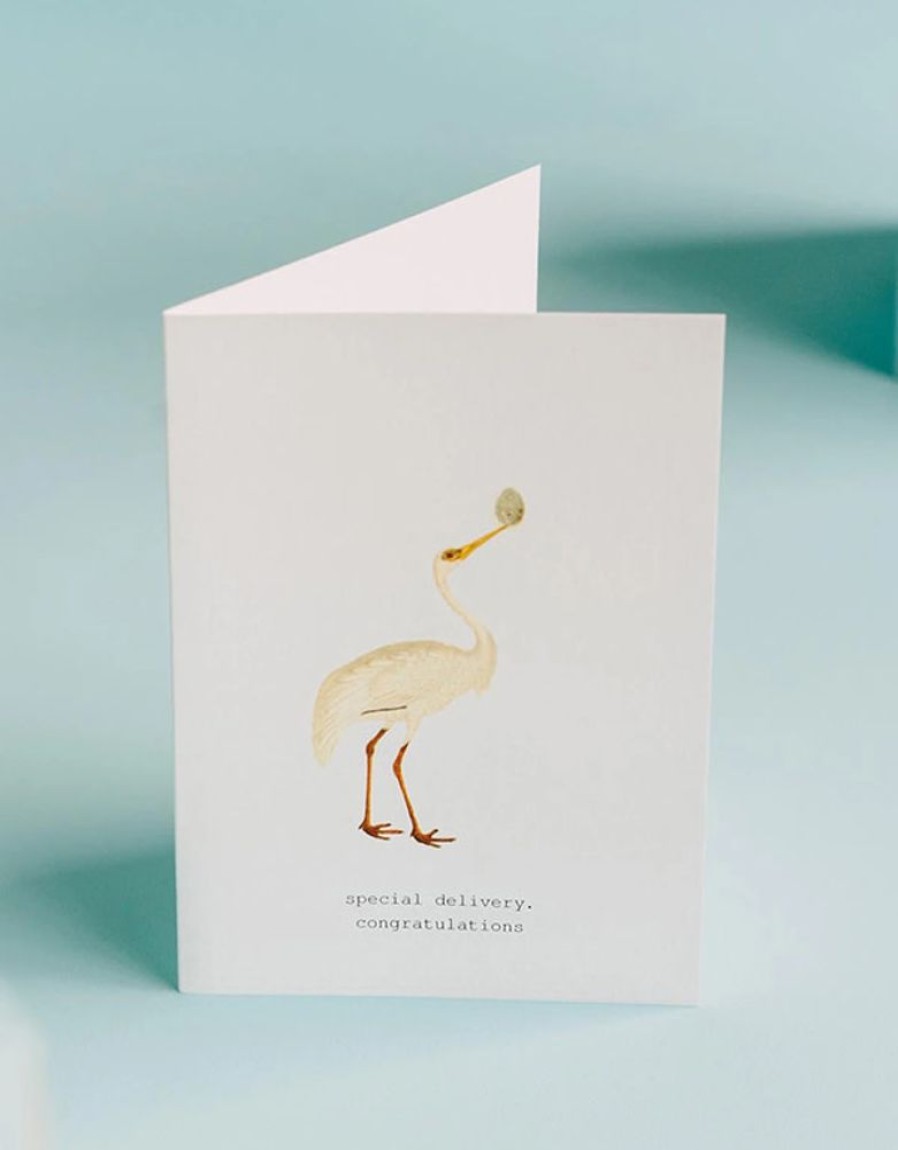 Greeting Cards Margot Elena | Special Delivery