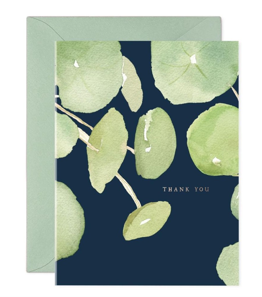 Paper & Office E. Frances Paper Studio Thank You Notes | Pancake Plant Thank You Boxed Set