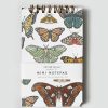 Paper & Office Root & Branch Paper Co. | Butterfly + Moth Collection Mini