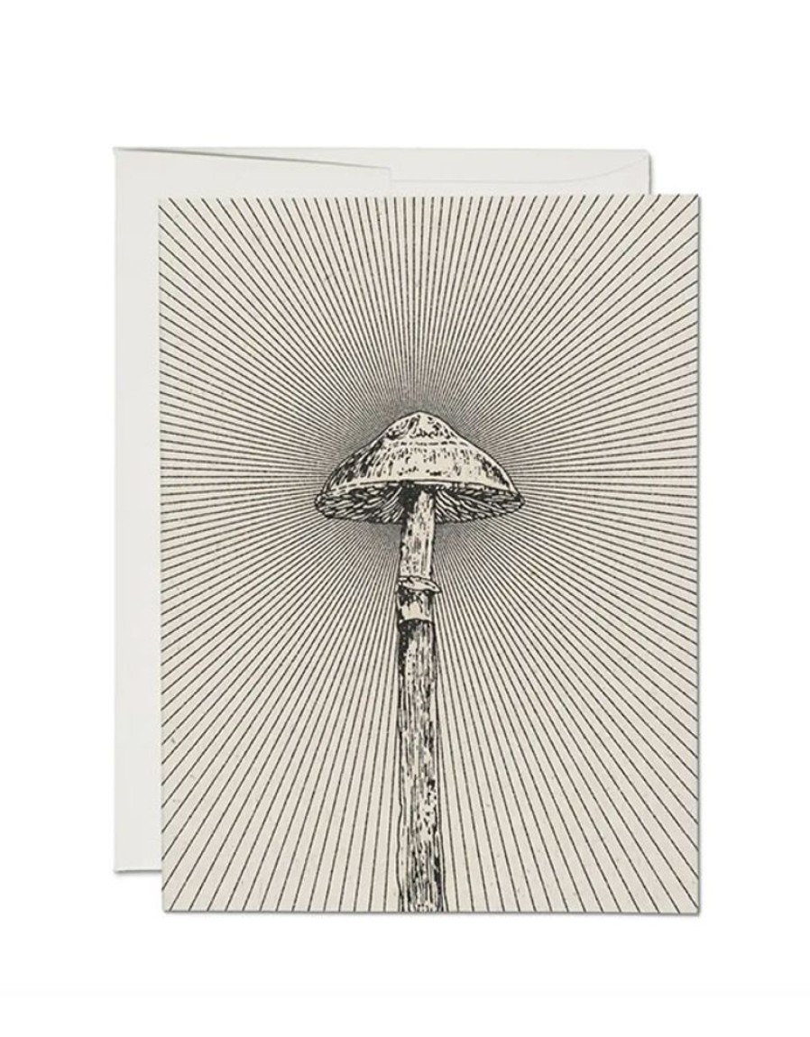 Greeting Cards Red Cap Cards | Shroom