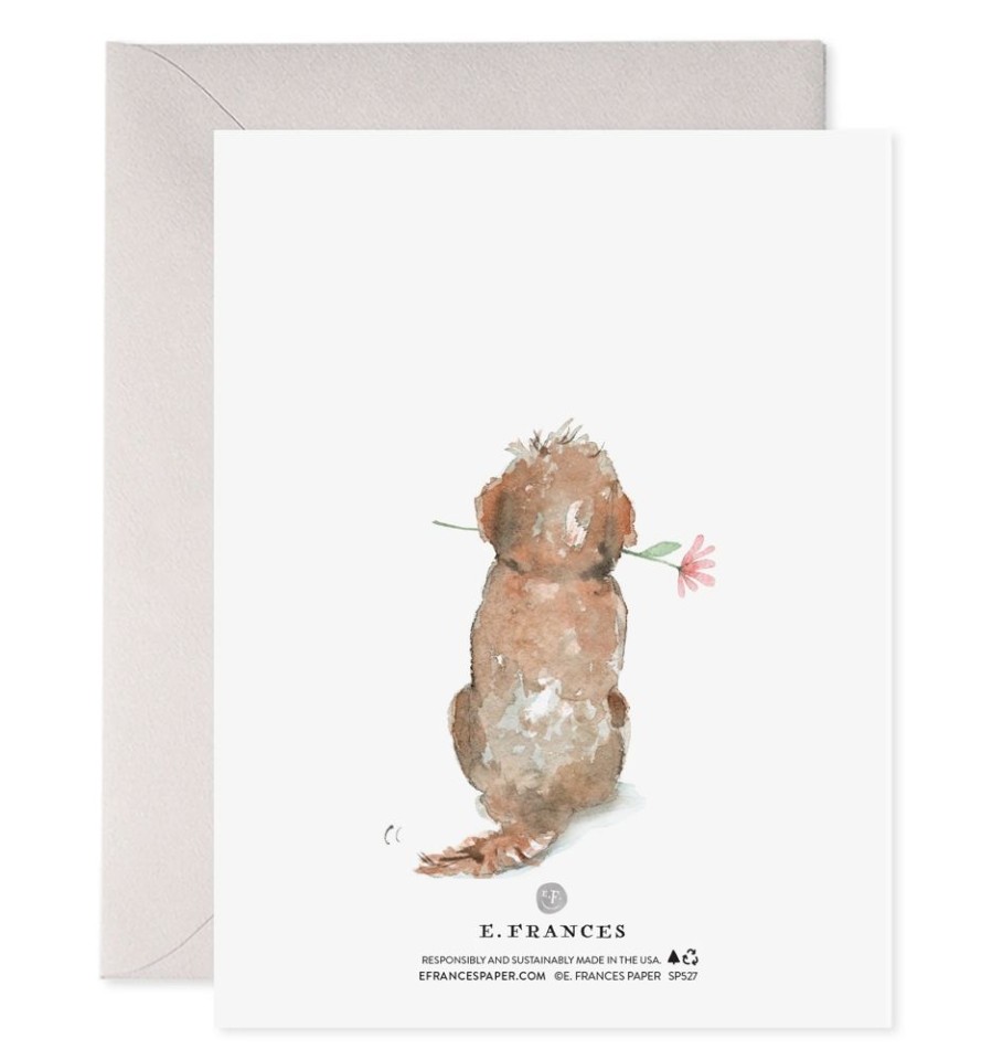 Greeting Cards E. Frances Paper Studio Mother'S Day | Dog Mom