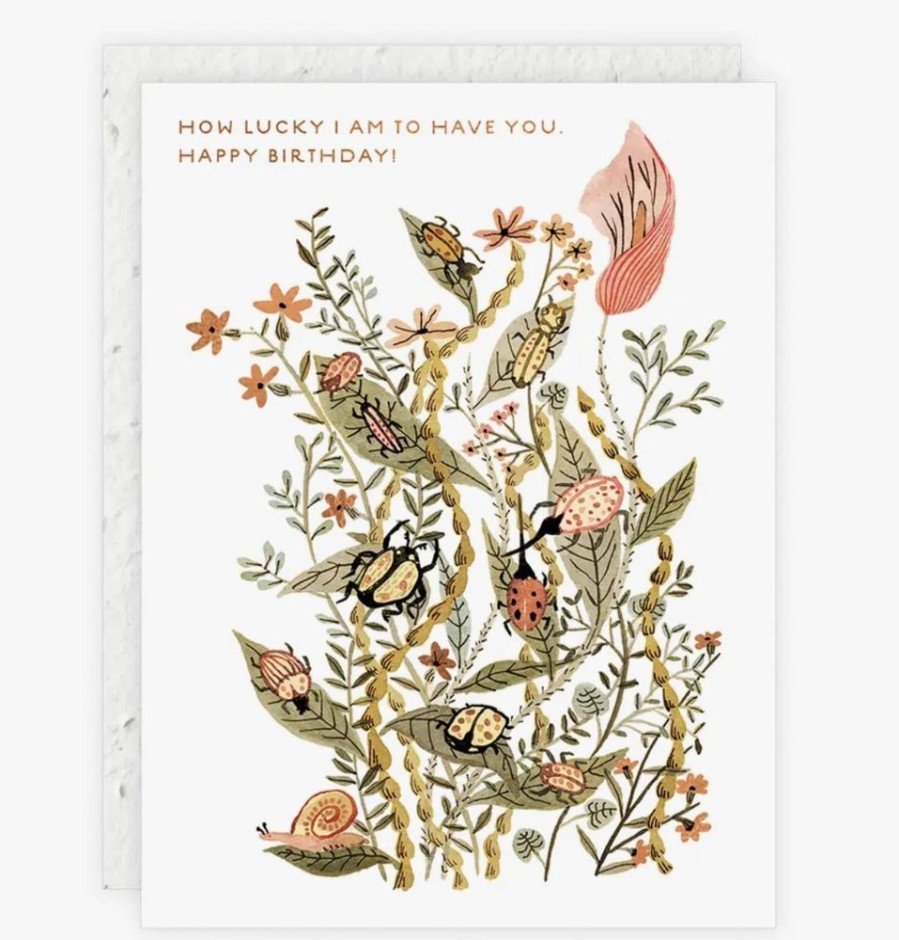 Greeting Cards Seedlings | How Lucky I Am